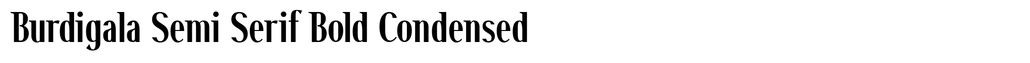 Burdigala Semi Serif Bold Condensed image